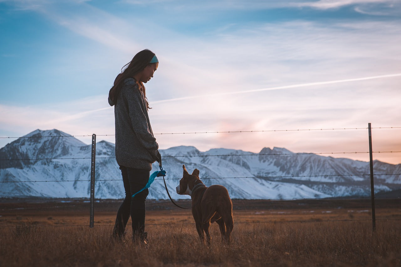 How to Preserve the Memory of a Lost Pet with Personalized Gifts