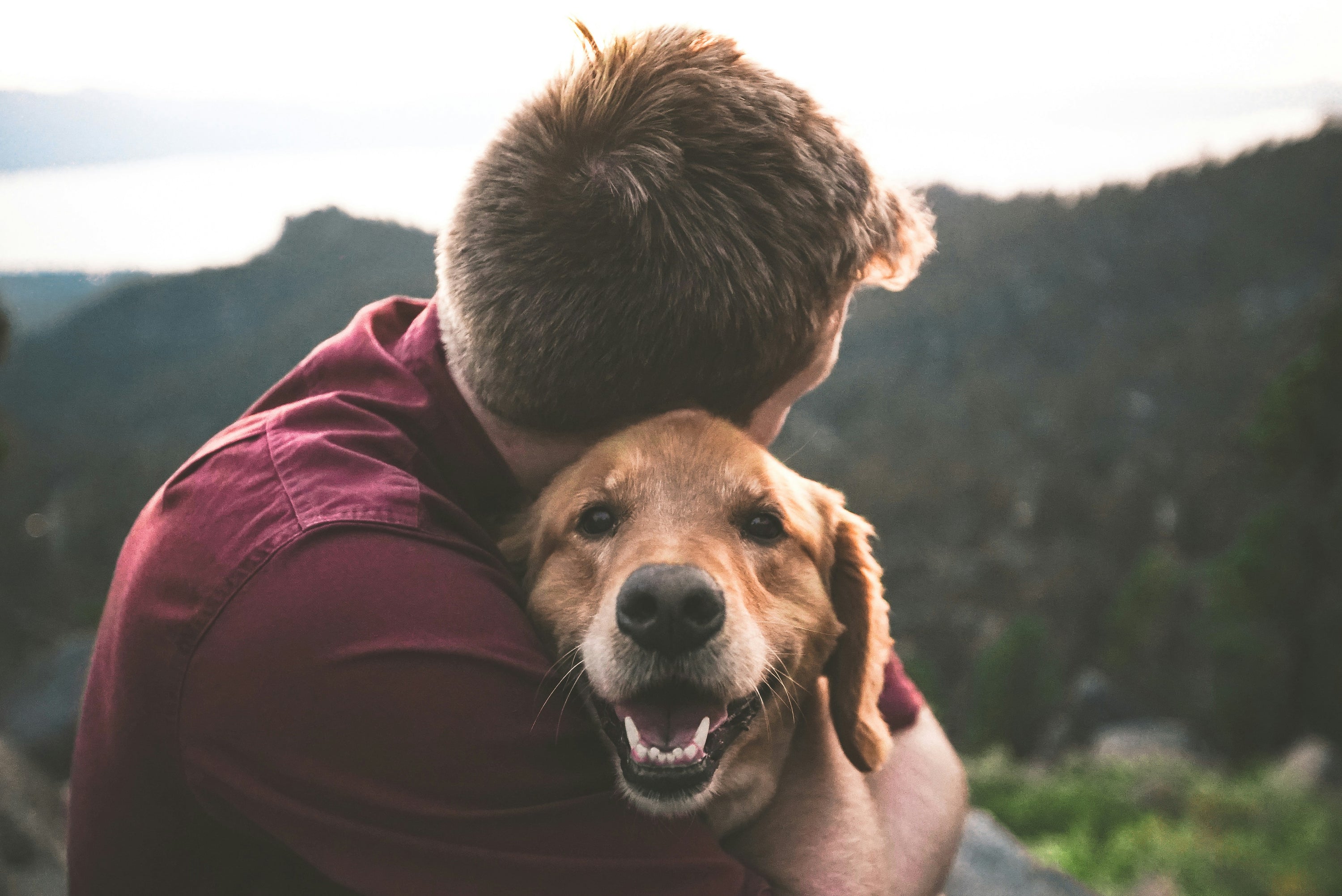 Celebrating Father’s Day: The Perfect Gifts for Dog Dads