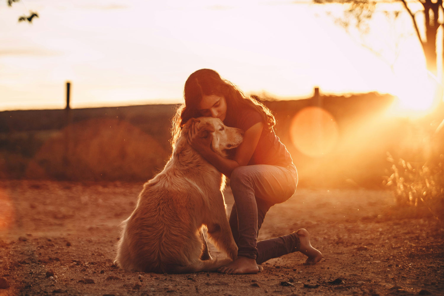 Coping with the Grief of Losing a Beloved Pet