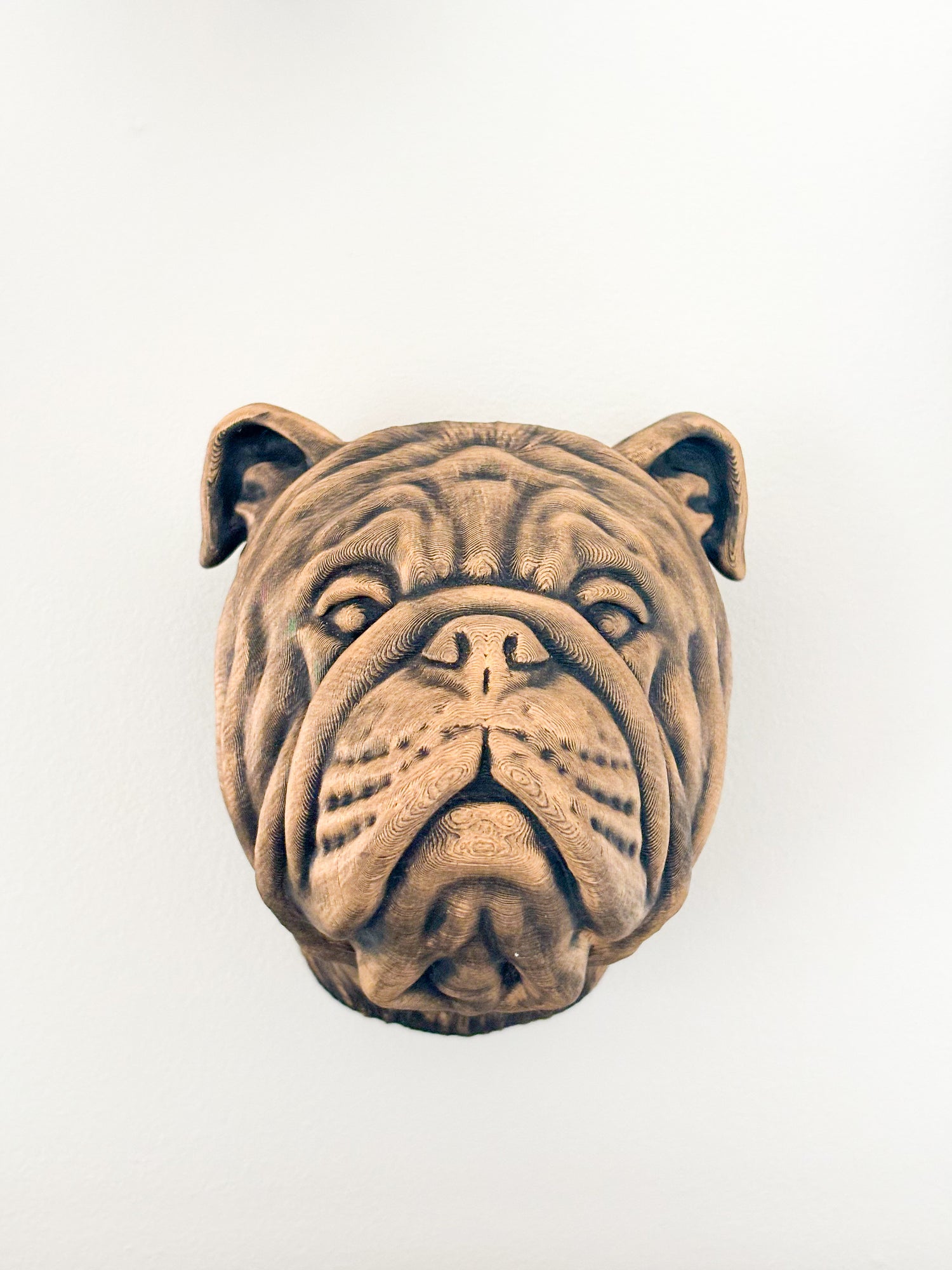 Wall Mounted English Bulldog Head Art