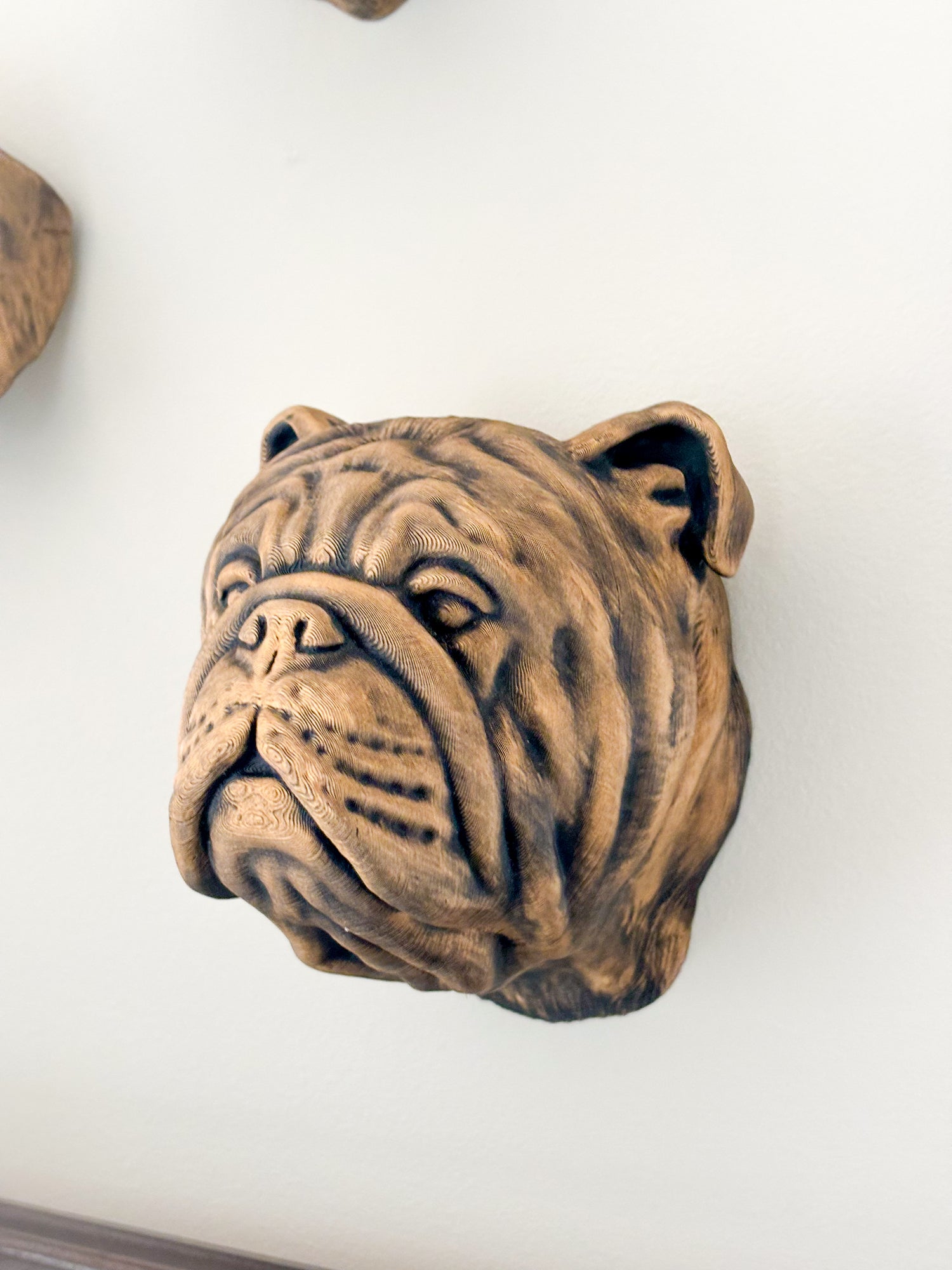 Wall Mounted English Bulldog Head Art